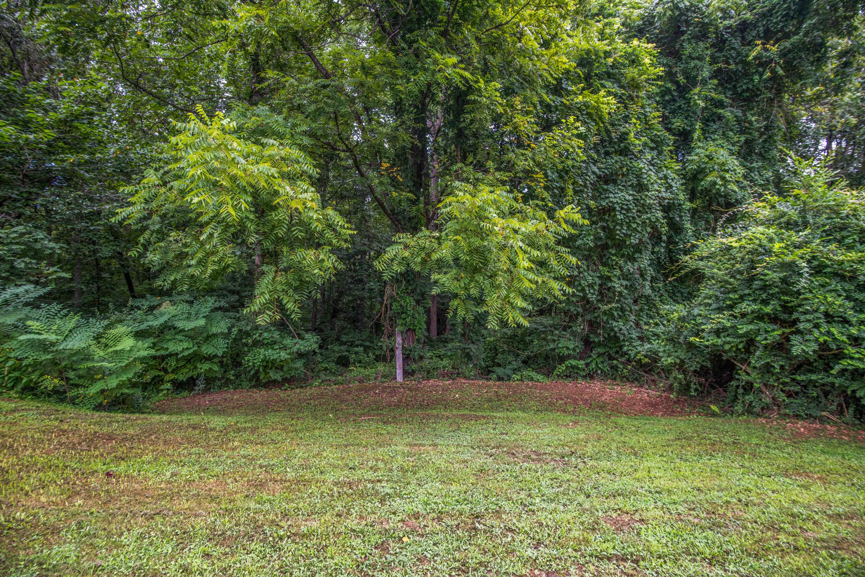 222 Oak Road Norris, TN 37828 - Photo 29 of 30 yard 7_1