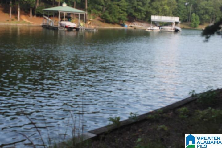 0 Red Cedar Drive, Unit 121 Wedowee, AL 36278 - Photo 11 of 21