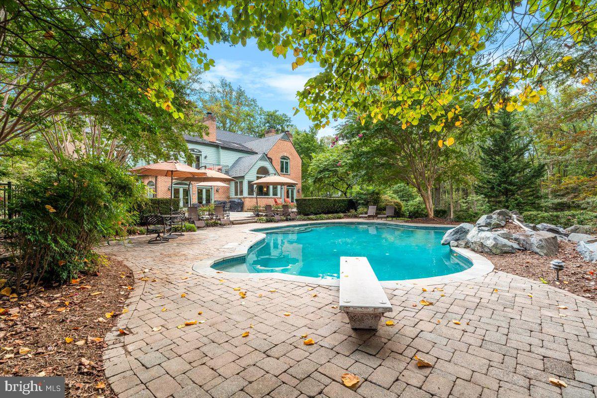 5948 White Flint Drive Frederick, MD 21702 - Photo 70 of 94 Diving board