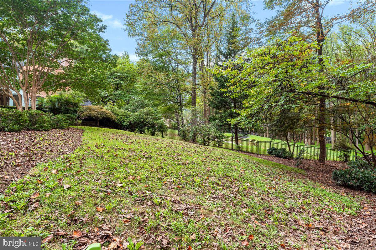 5948 White Flint Drive Frederick, MD 21702 - Photo 71 of 94