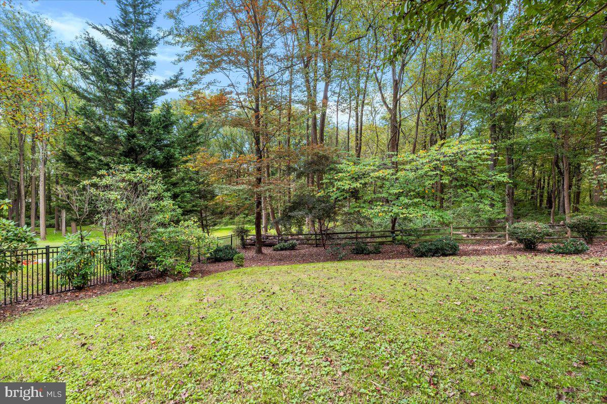 5948 White Flint Drive Frederick, MD 21702 - Photo 72 of 94 a view of a backyard with large trees