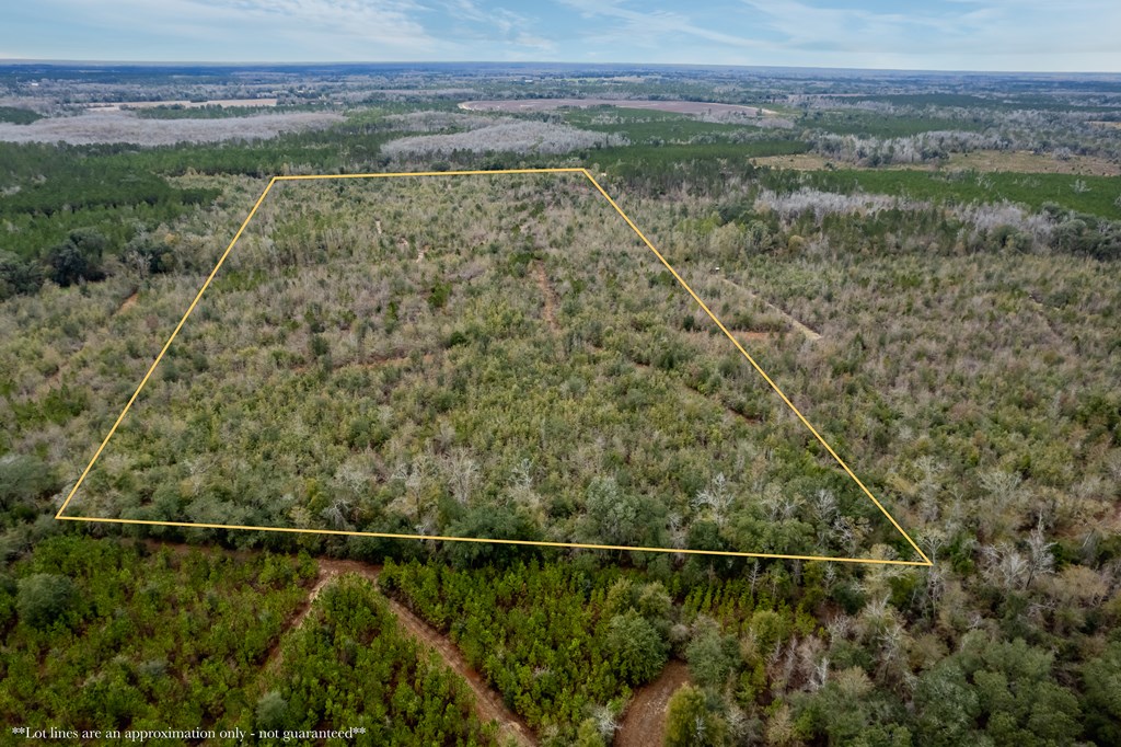 2 Pilgram Ch Road Gordon, AL 36343 - Photo 3 of 17