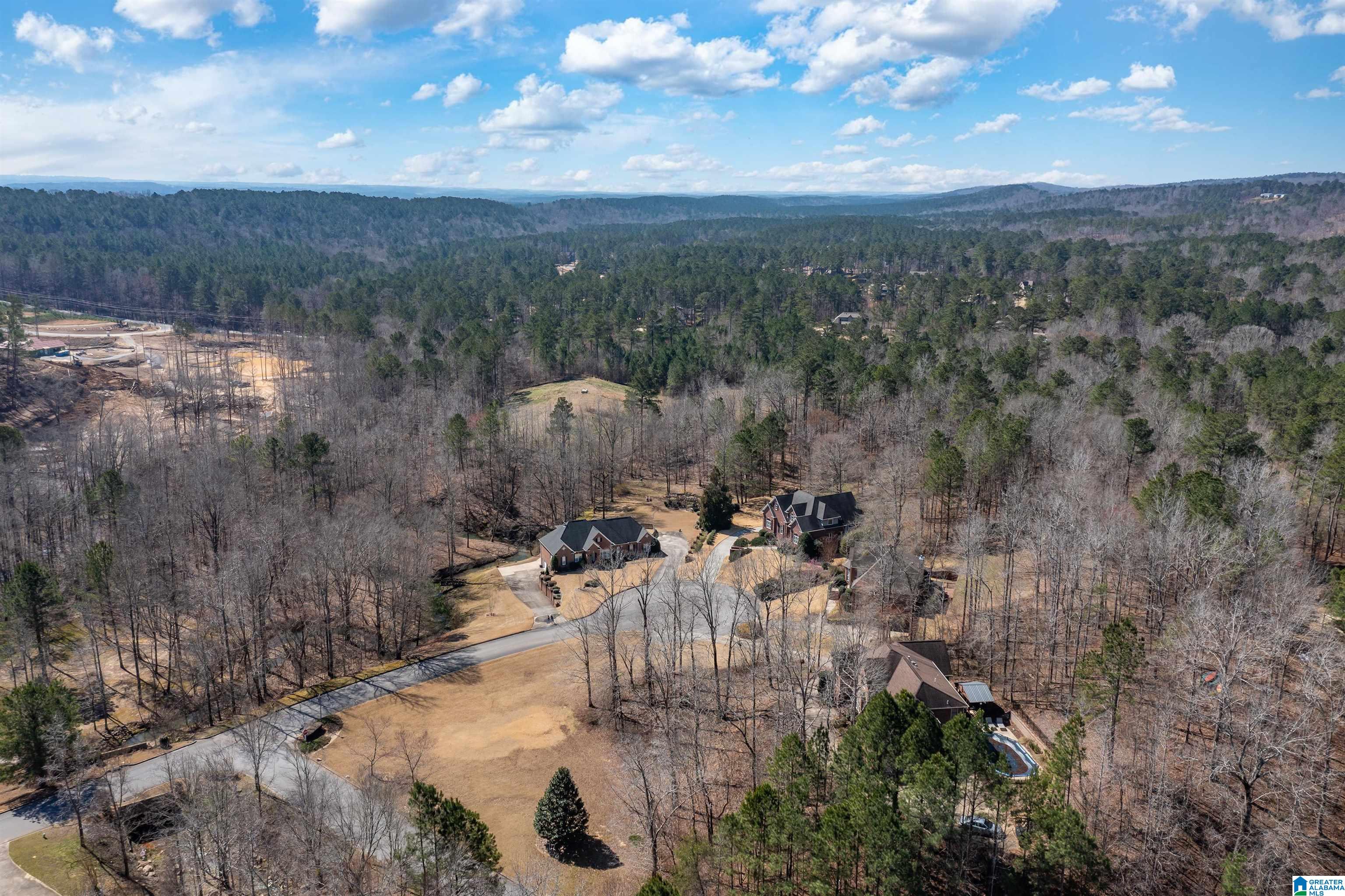 203 Quail Ridge Road Helena, AL 35080 - Photo 44 of 47