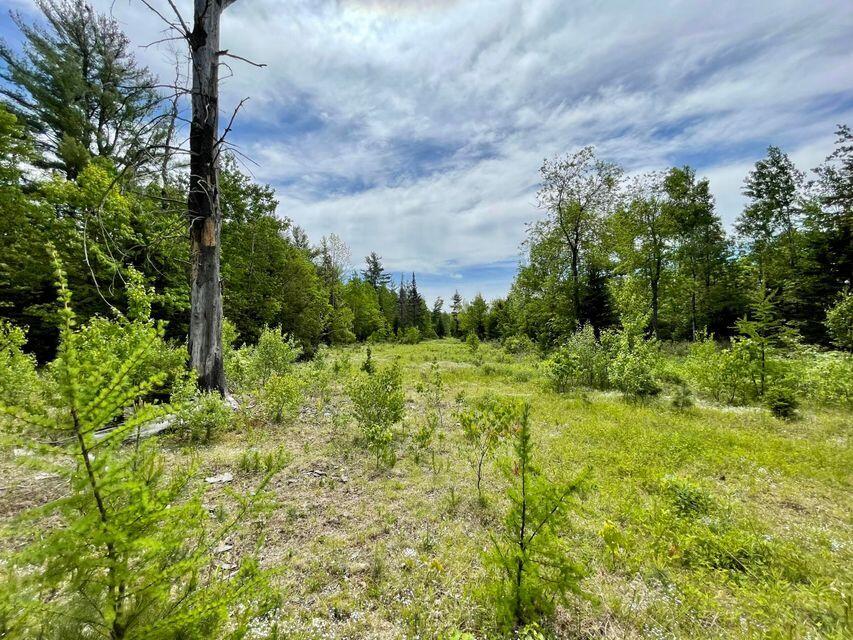 140 Works Road Jackson, ME 04921 - Photo 9 of 38 9