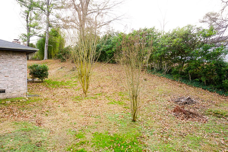 119 Lytle Road Rossville, GA 30741 - Photo 22 of 24 Back Yard