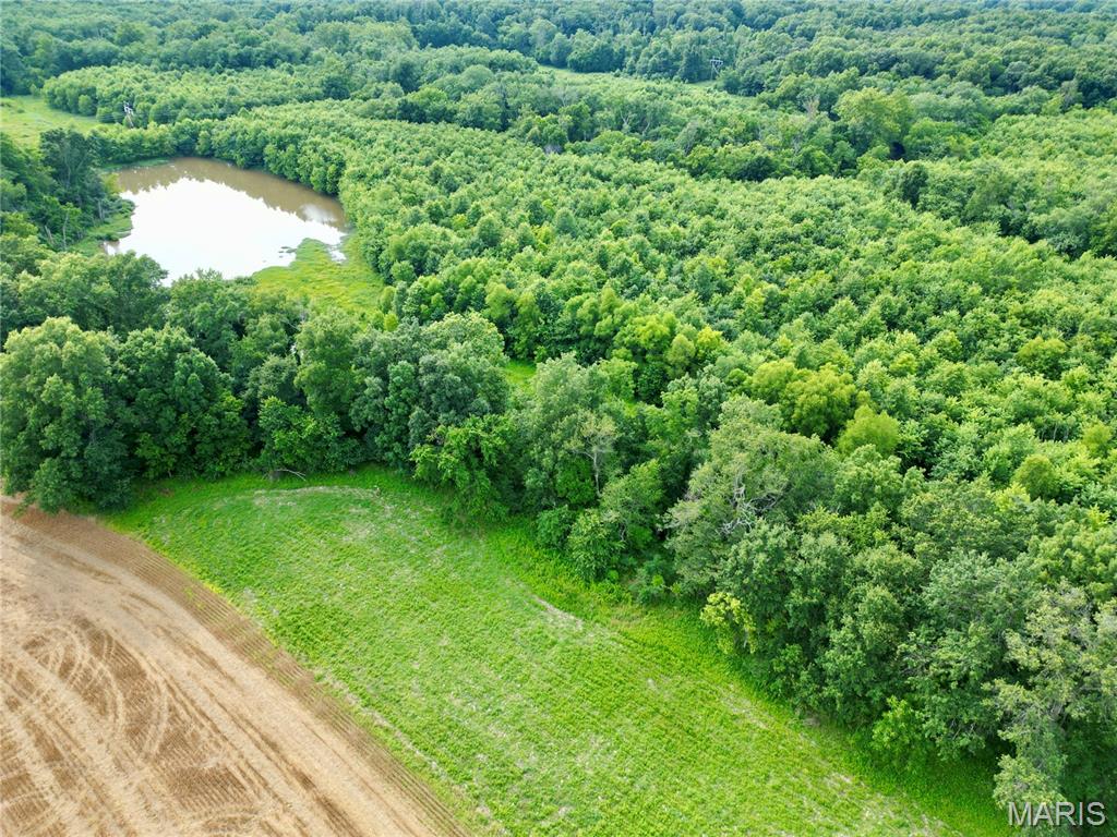 0 Church Road Salem, IL 62881 - Photo 9 of 29