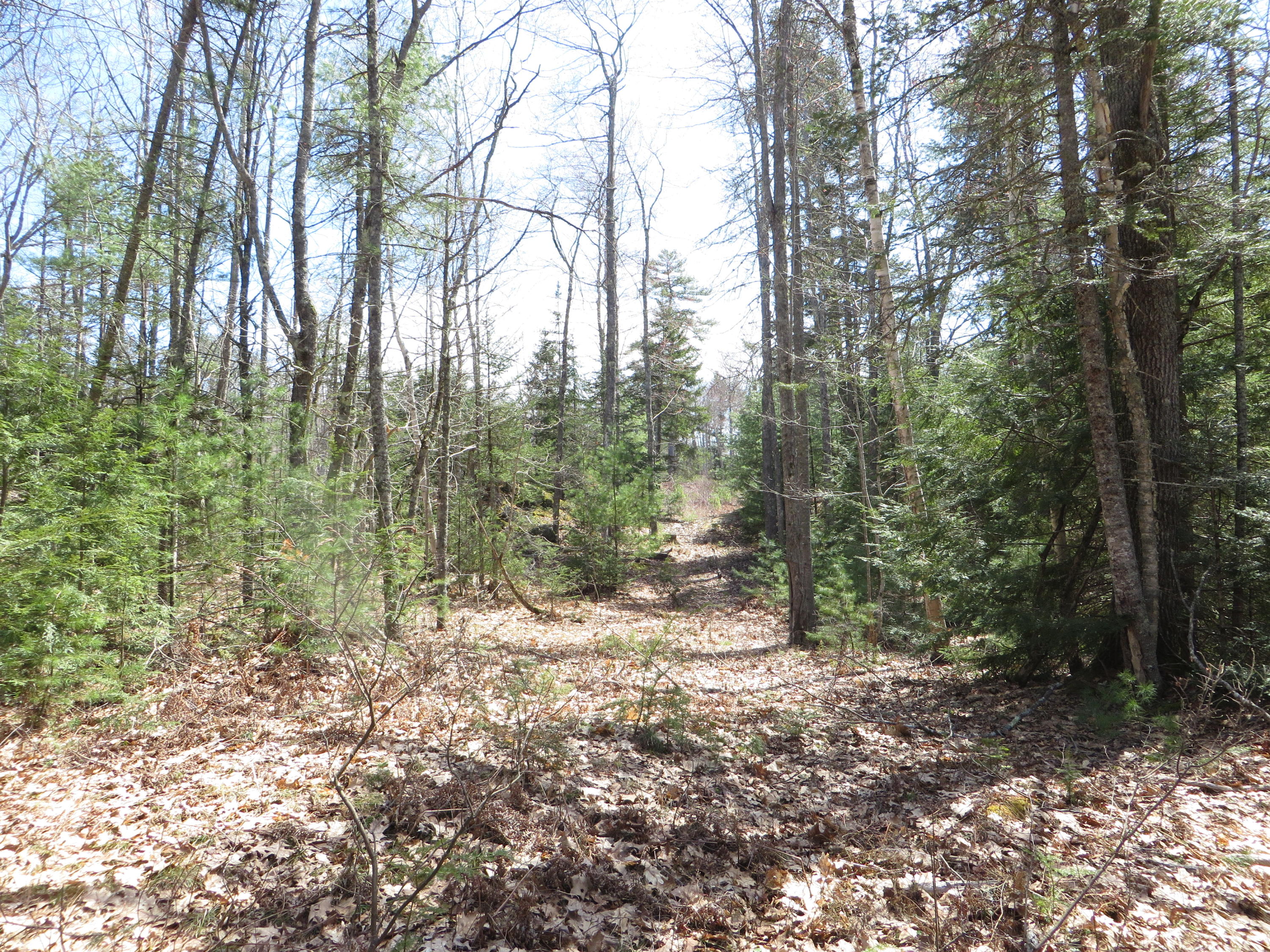 Lot57-10 Winterberry Road West Bath, ME 04530 - Photo 18 of 24 16