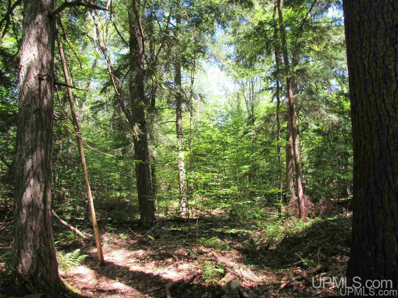 2804-acres Co Rd 442 McMillan, MI 49853 - Photo 20 of 48