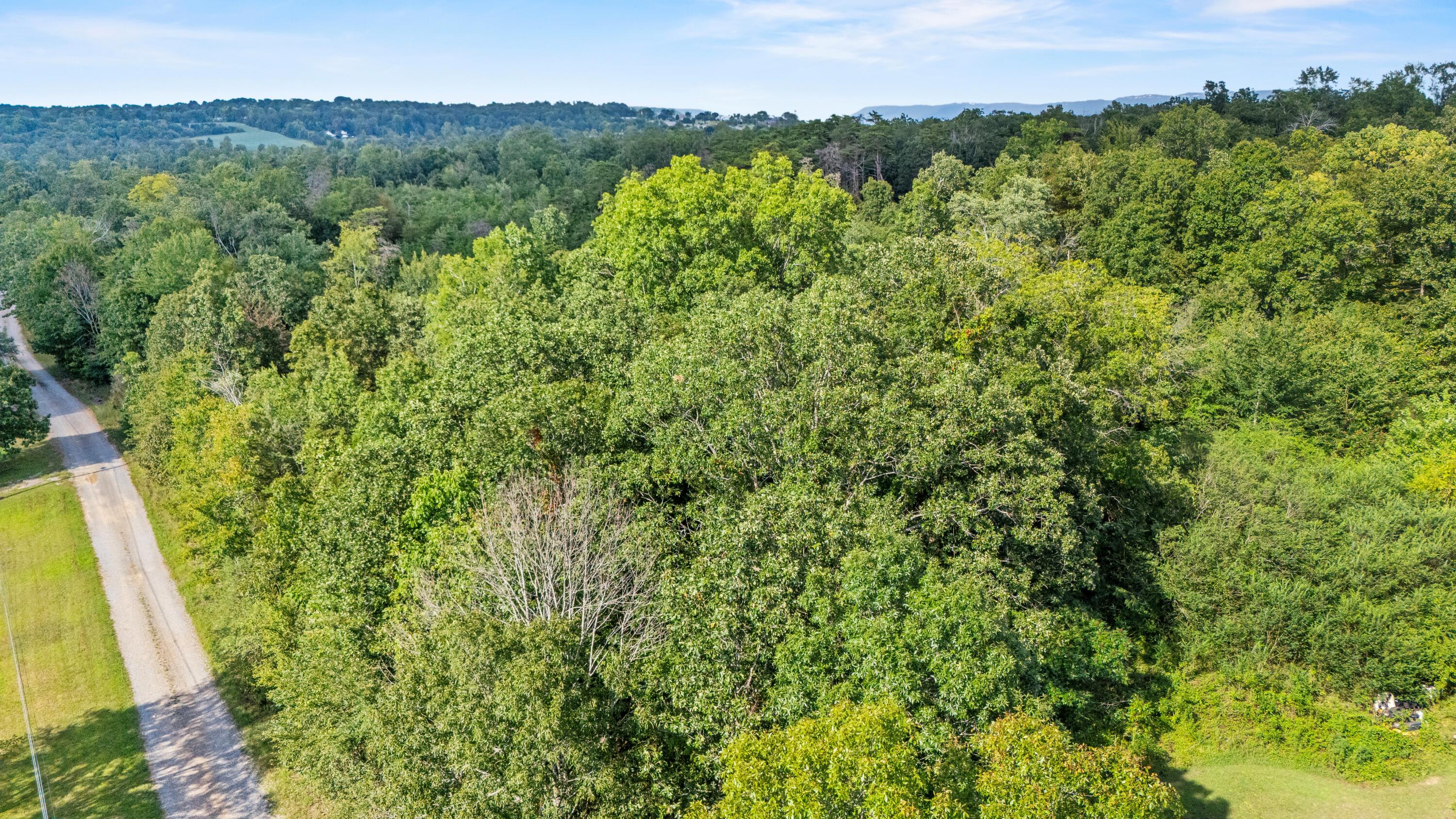 0 Rock Creek Road Trenton, GA 30752 - Photo 5 of 6 land
