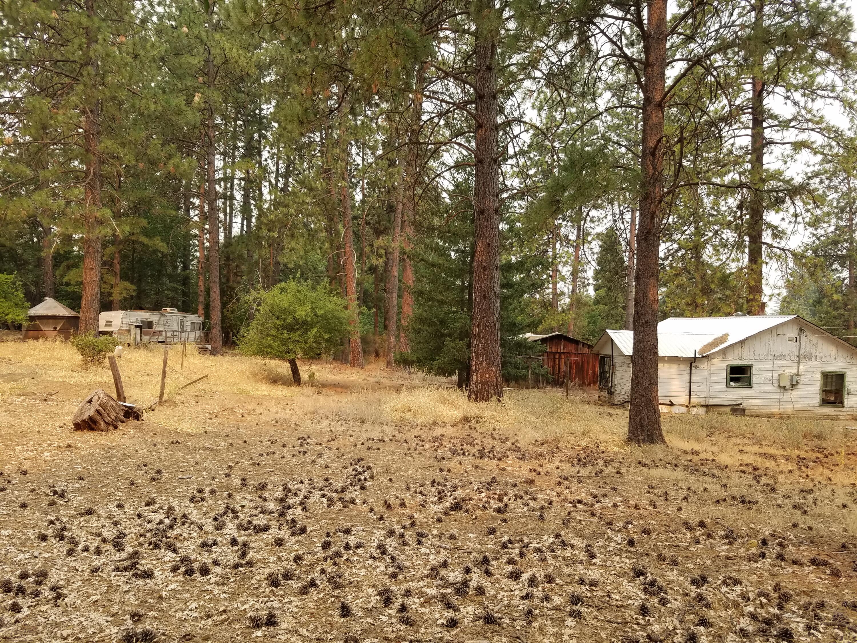 Lot 7-10 Rock Creek Road Manton, CA 96059 - Photo 3 of 15 OLD CABIN/TRAILER