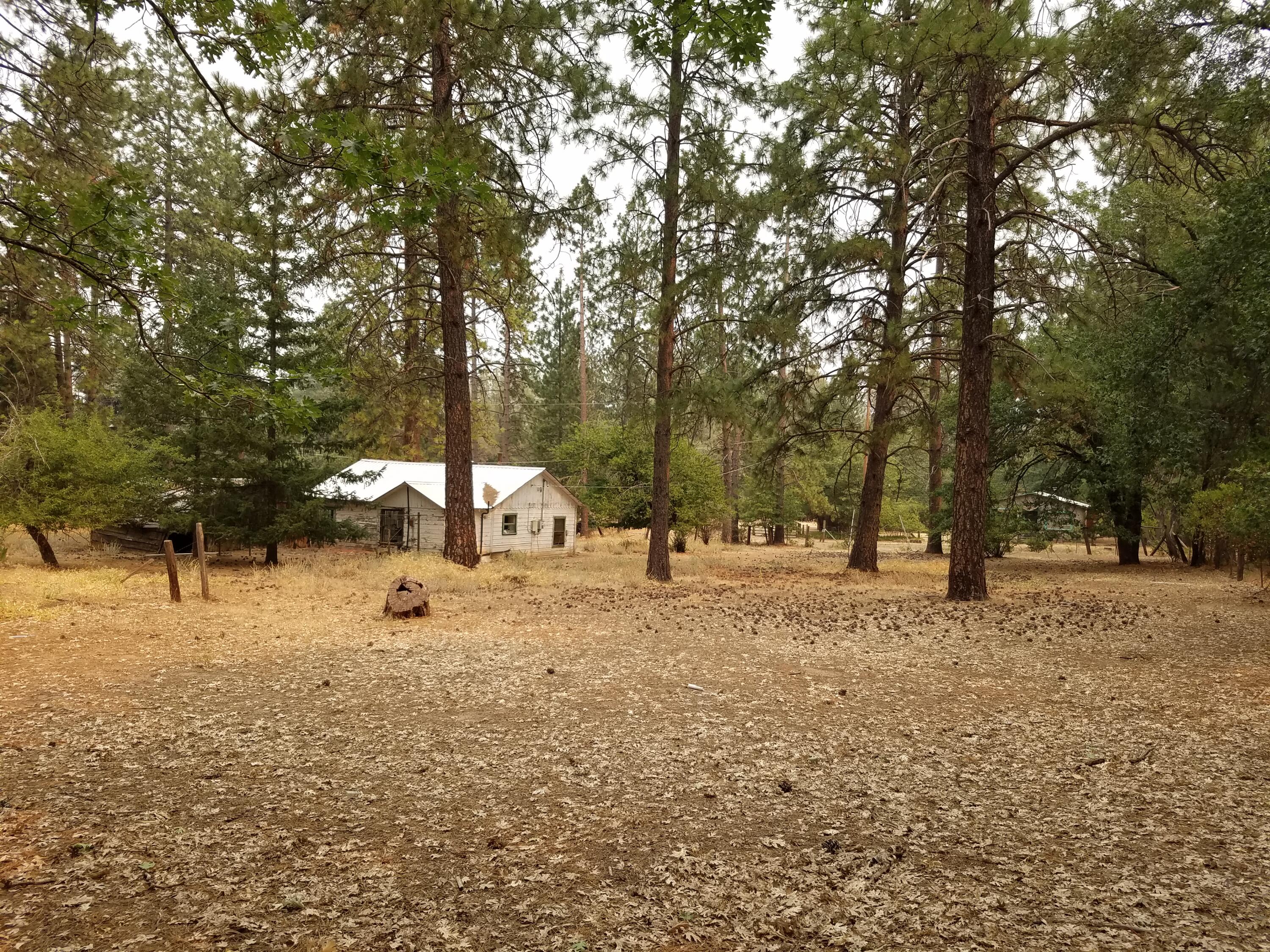 Lot 7-10 Rock Creek Road Manton, CA 96059 - Photo 4 of 15 TALL TREES