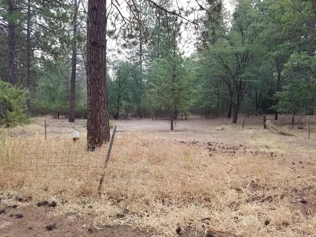 $85,000 | Lot 7-10 Rock Creek Road, Manton, CA 96059