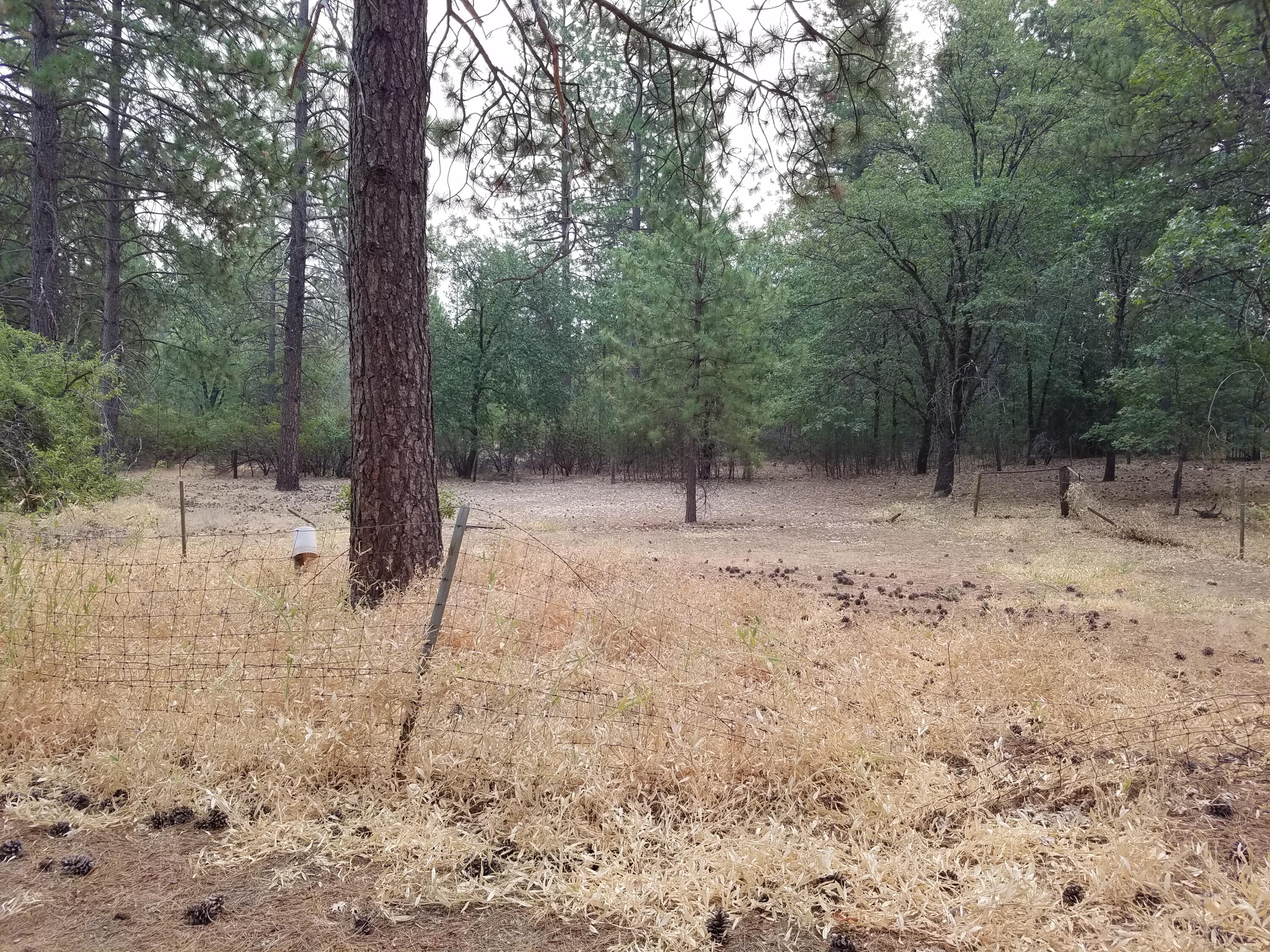 Lot 7-10 Rock Creek Road Manton, CA 96059 - Photo 8 of 15 PROPERTY V2