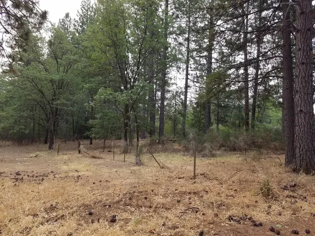 $85,000 | Lot 7-10 Rock Creek Road, Manton, CA 96059