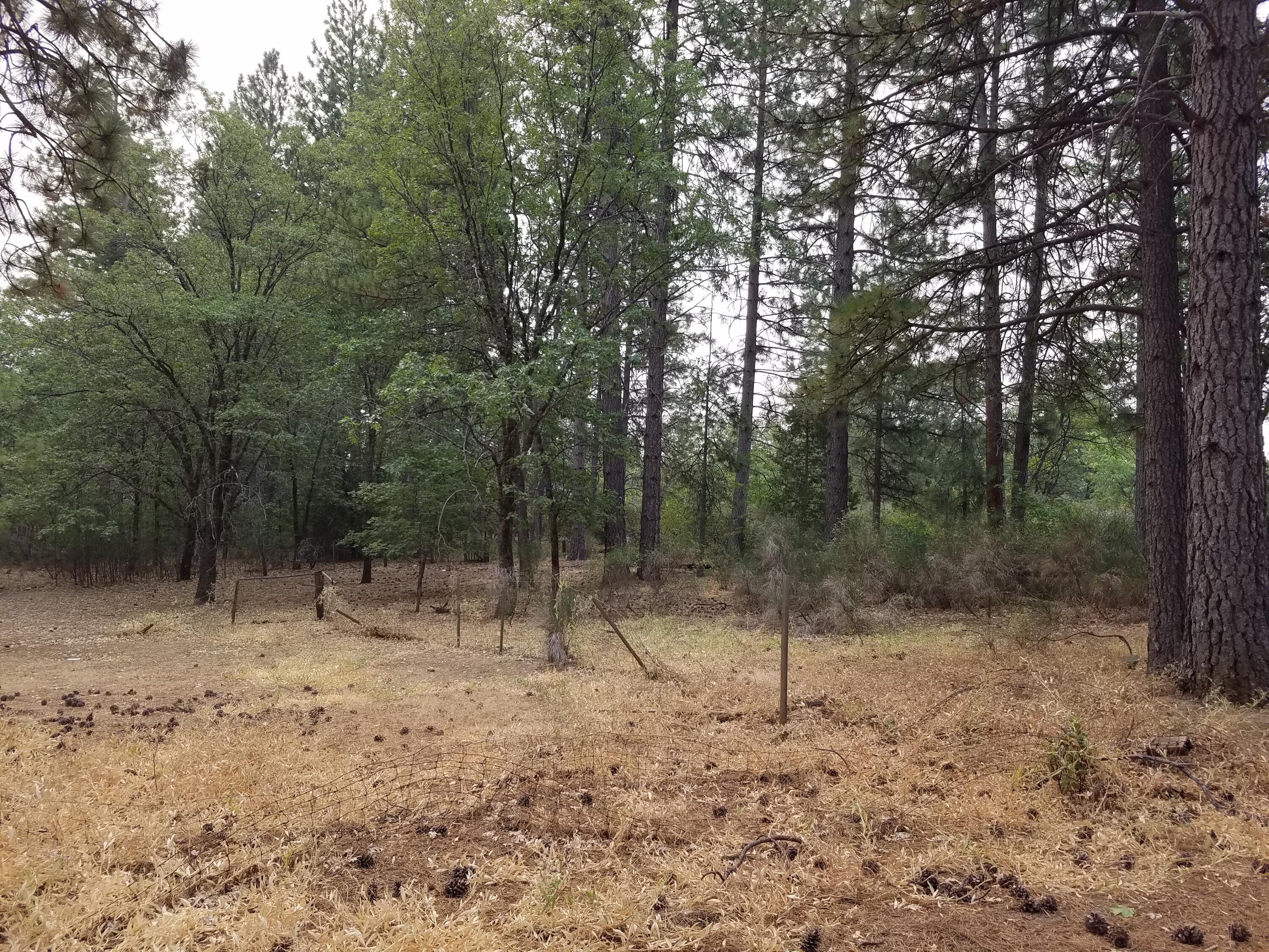 Lot 7-10 Rock Creek Road Manton, CA 96059 - Photo 9 of 15 PROPERTY V3