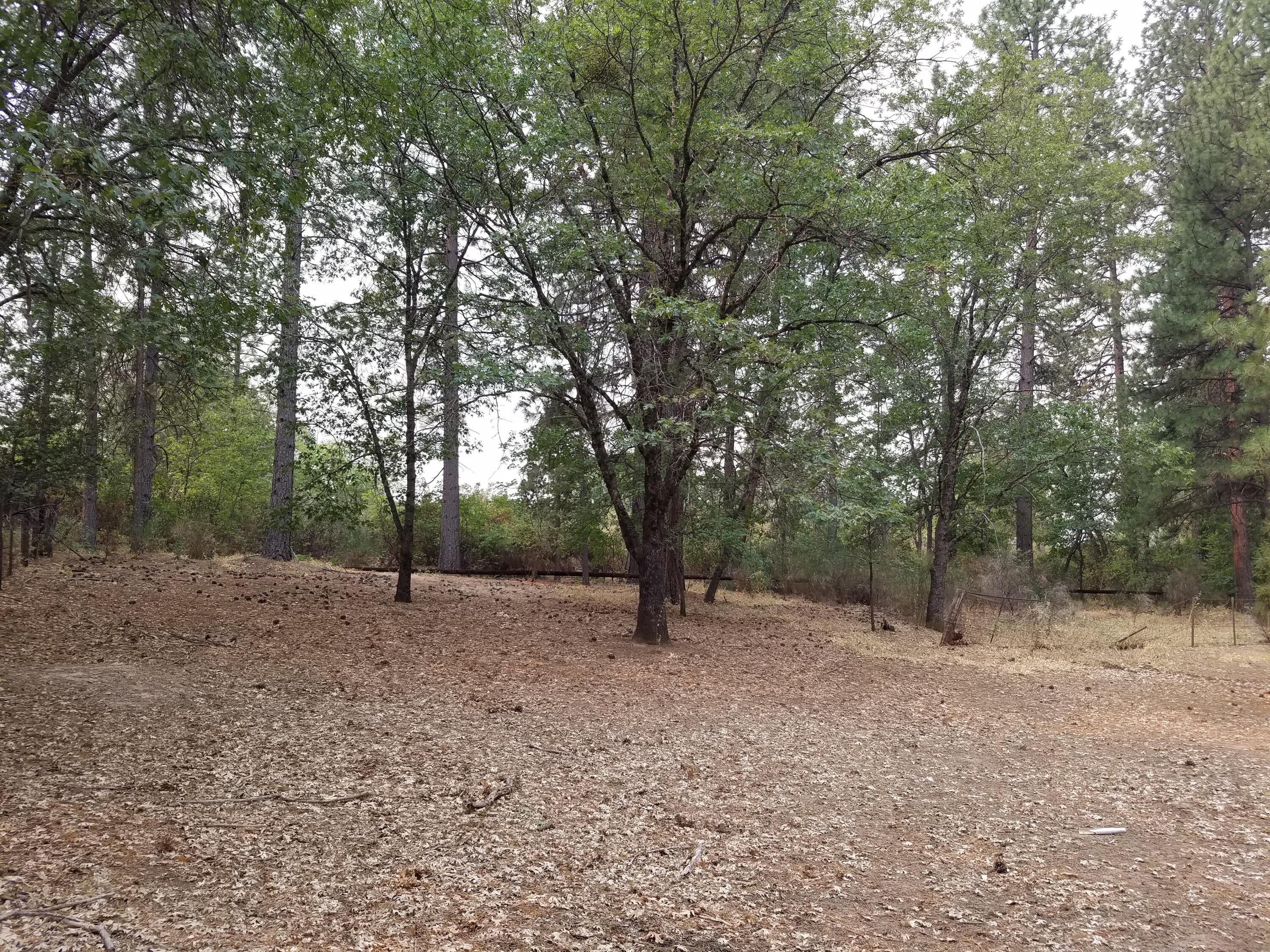 Lot 7-10 Rock Creek Road Manton, CA 96059 - Photo 10 of 15 PROPERTY V4