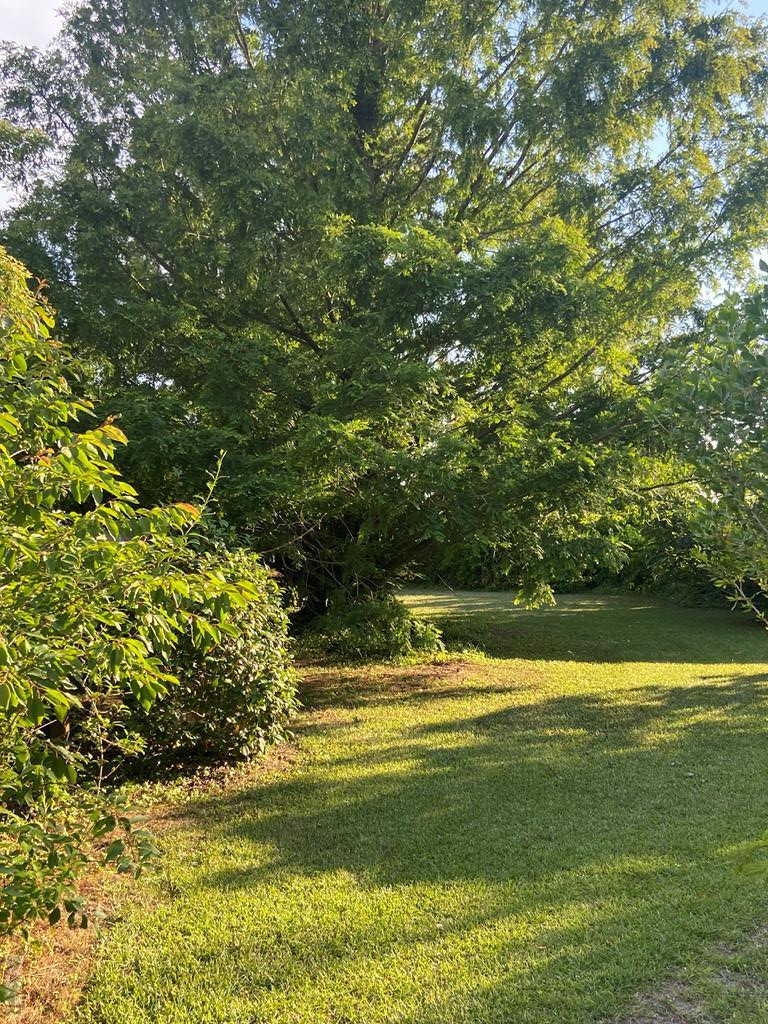 116 Bullyard Road Moyock, NC 27958 - Photo 14 of 16 Gallery Image 14