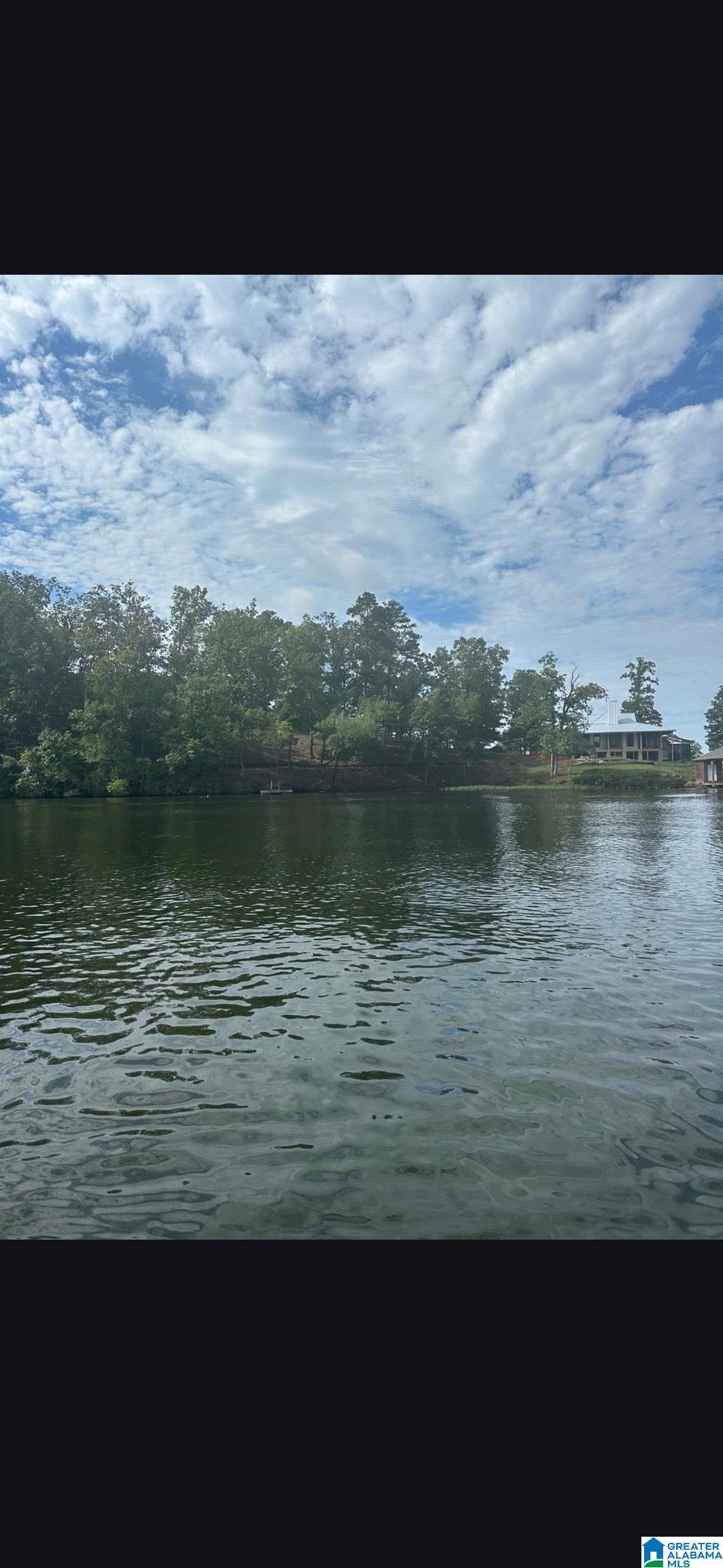Lot 8 Eagle Point Road, Unit 1 Alexander City, AL 35010 - Photo 8 of 14