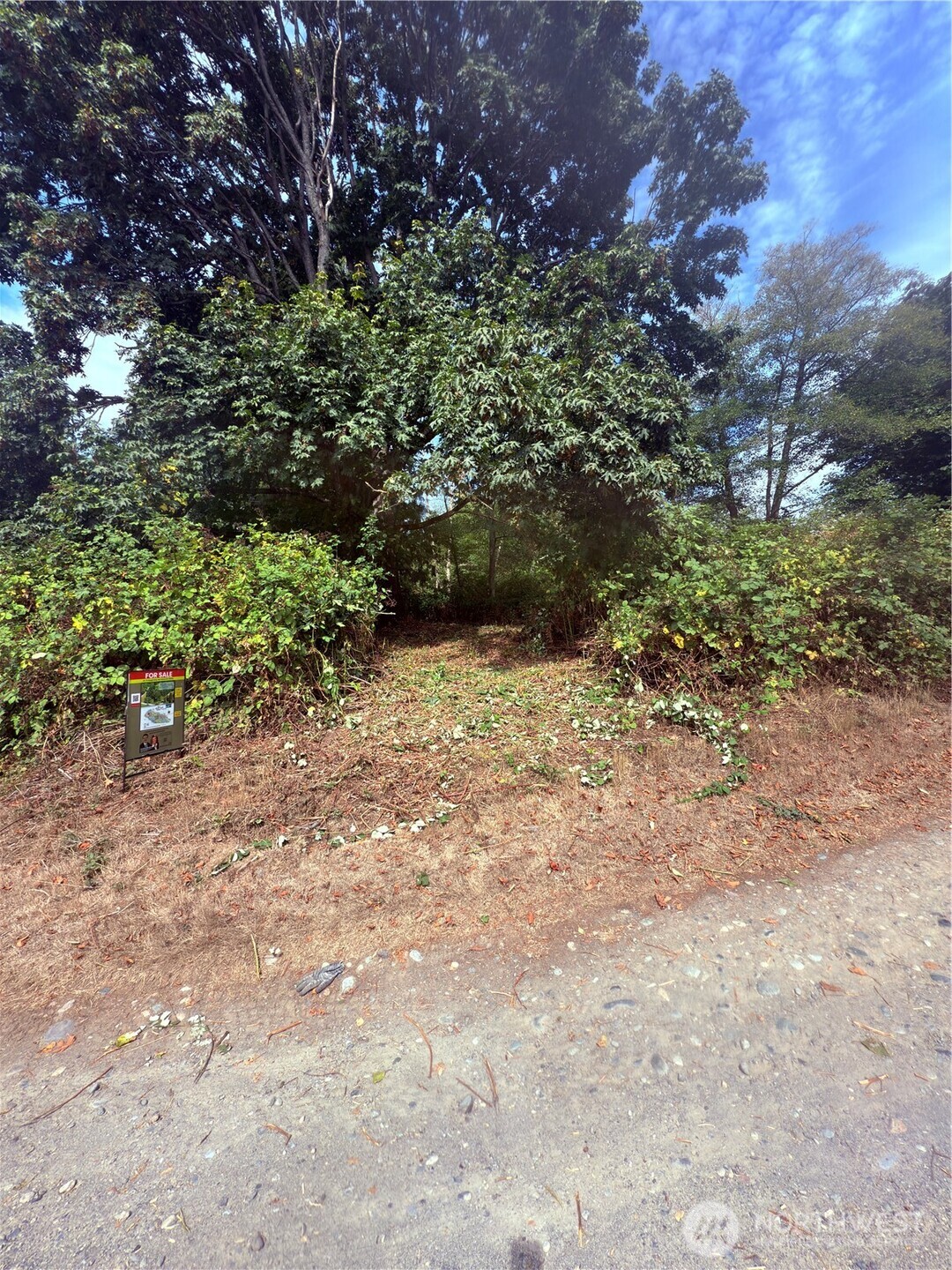 74 M Skagit Way Hat Island, WA 98201 - Photo 13 of 31 a view of a yard with plants and a tree