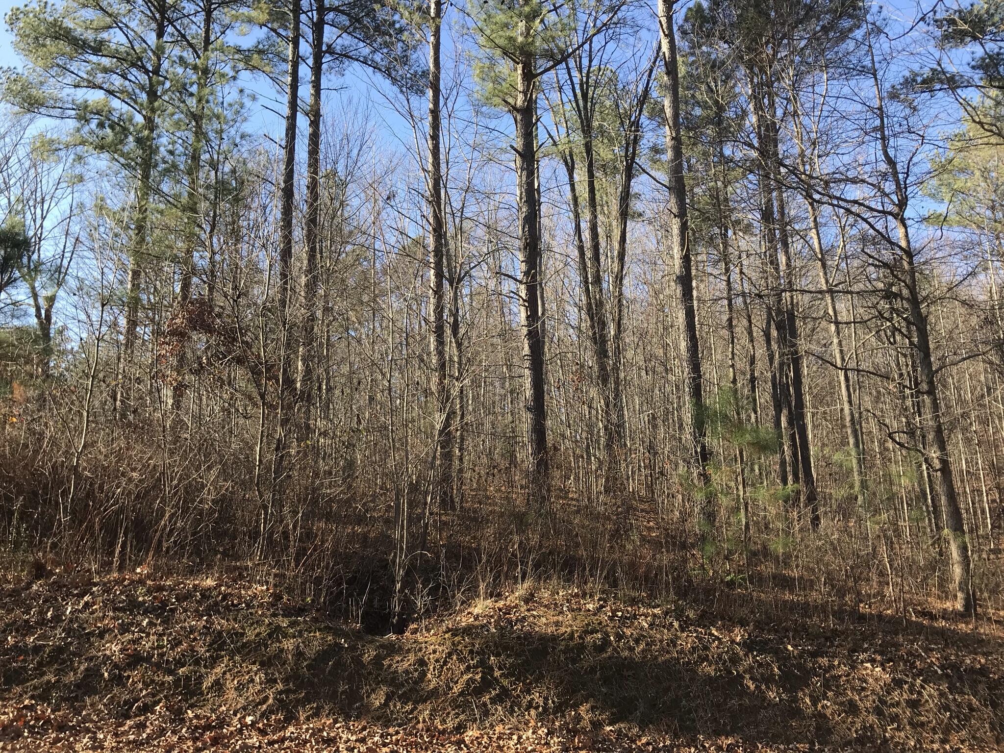1 John Henry Lewis Road, Unit 1 Dunlap, TN 37327 - Photo 11 of 15 96A1AB84-EF55-432E-9048-EBA833515469