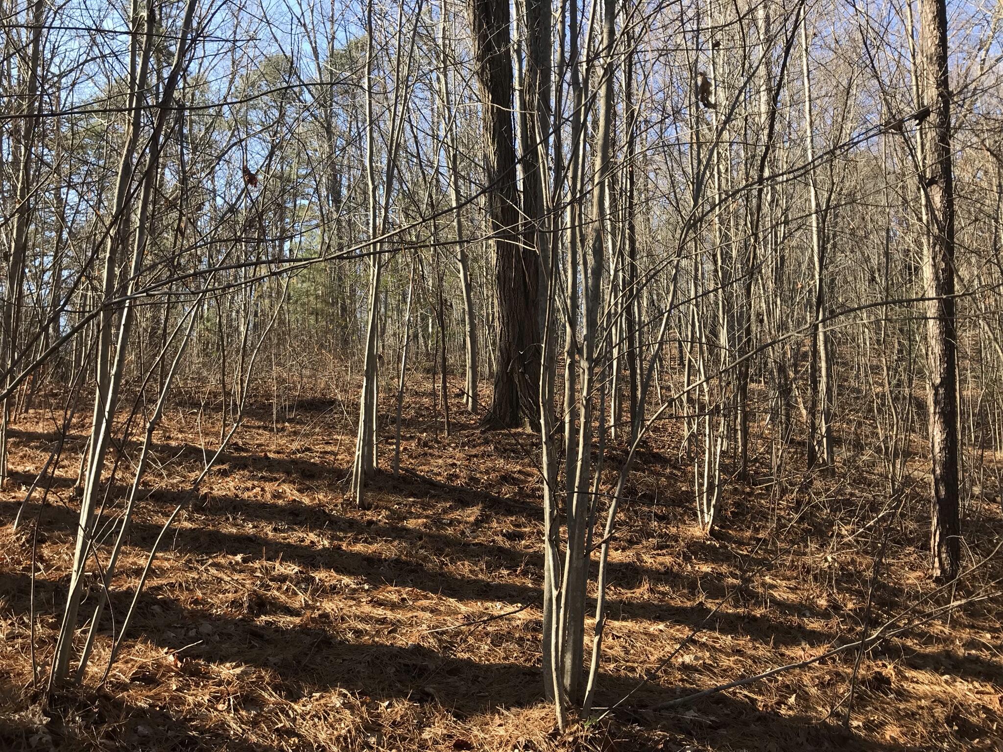 1 John Henry Lewis Road, Unit 1 Dunlap, TN 37327 - Photo 2 of 15 FEF4171B-8AE2-4D5E-953F-45BCF28DA6F6