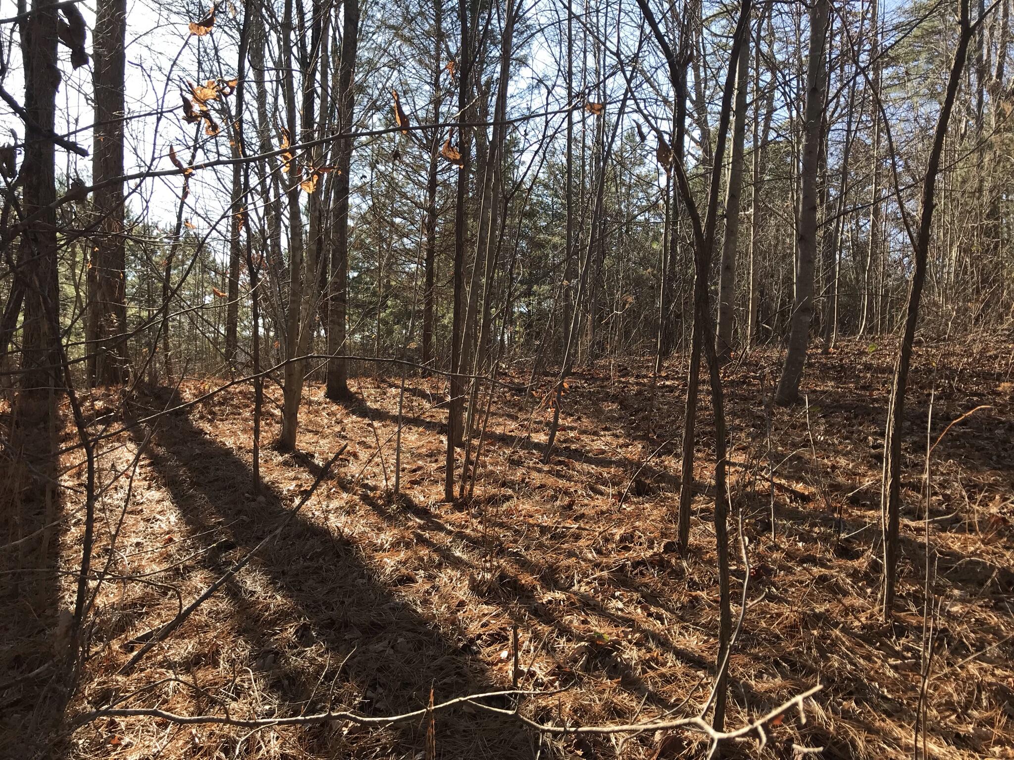 1 John Henry Lewis Road, Unit 1 Dunlap, TN 37327 - Photo 4 of 15 4922F3EA-2344-4D2E-BB91-335075F1E316