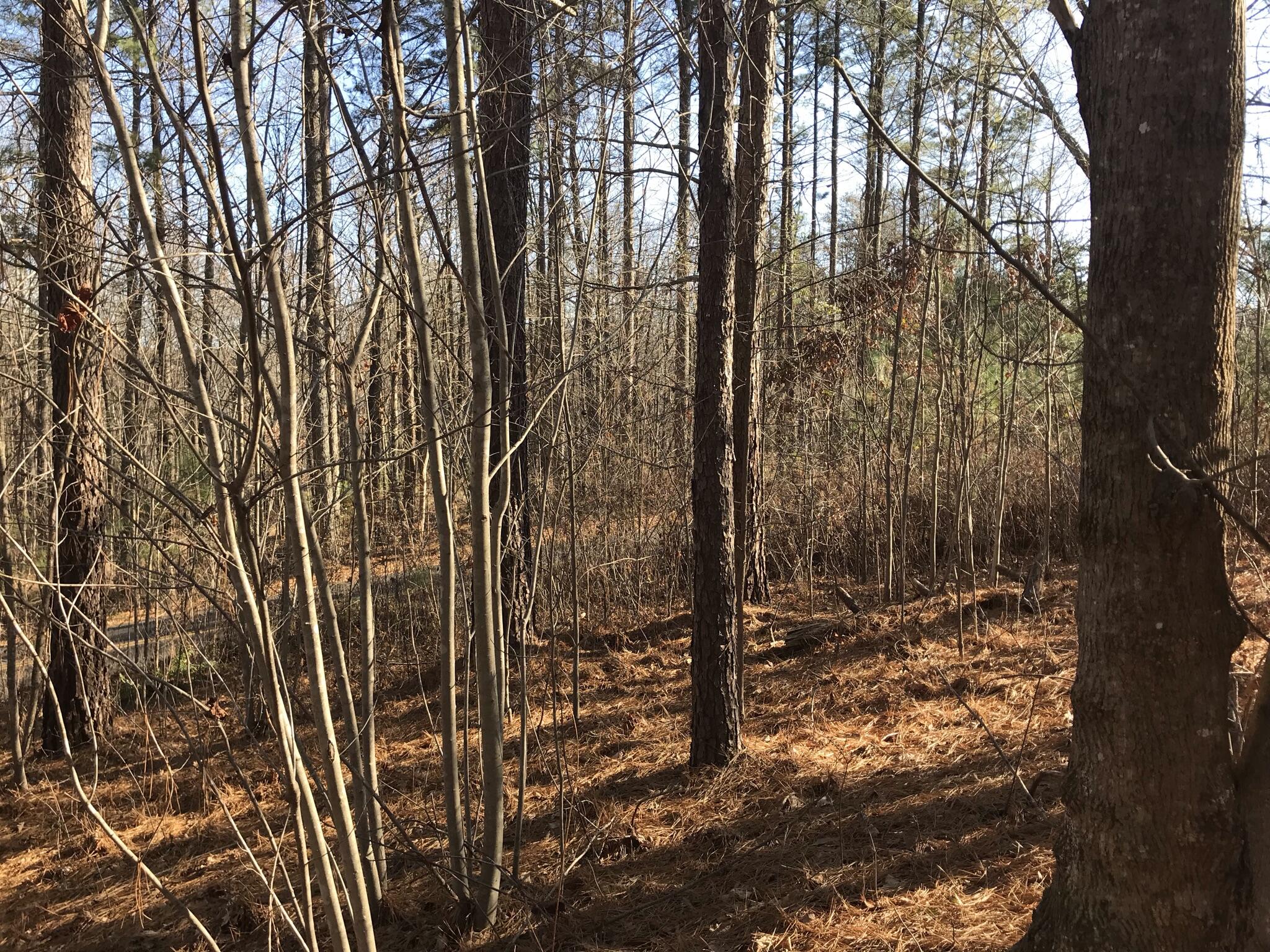 1 John Henry Lewis Road, Unit 1 Dunlap, TN 37327 - Photo 5 of 15 FA6B5935-DCBD-4A31-9488-87FFB185CF4D
