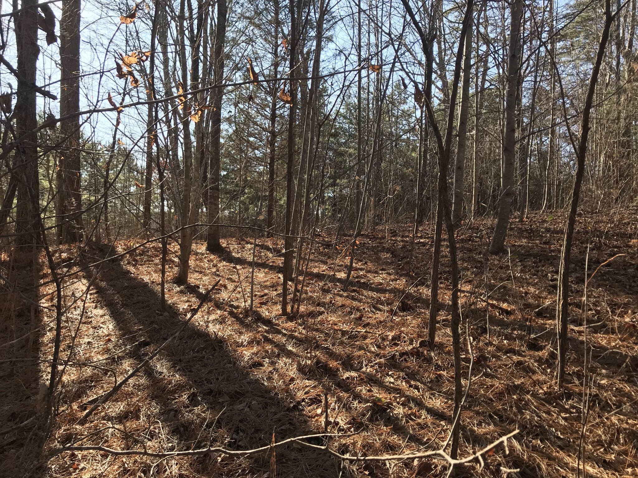 1 John Henry Lewis Road, Unit 1 Dunlap, TN 37327 - Photo 6 of 15 3FBC7623-A289-4608-BE4B-6DB7E058C36B