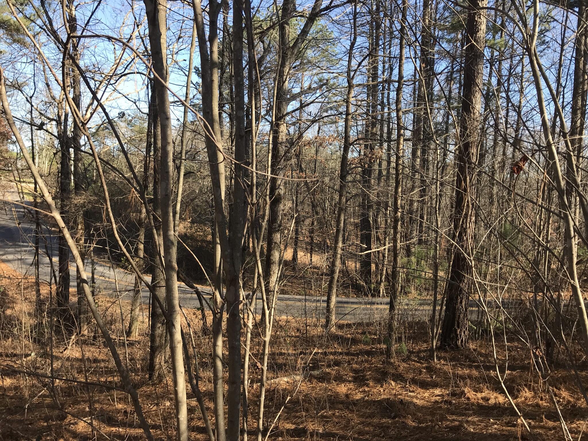 1 John Henry Lewis Road, Unit 1 Dunlap, TN 37327 - Photo 7 of 15 1A123D30-D4D0-4DD3-AF4A-00A19E080926