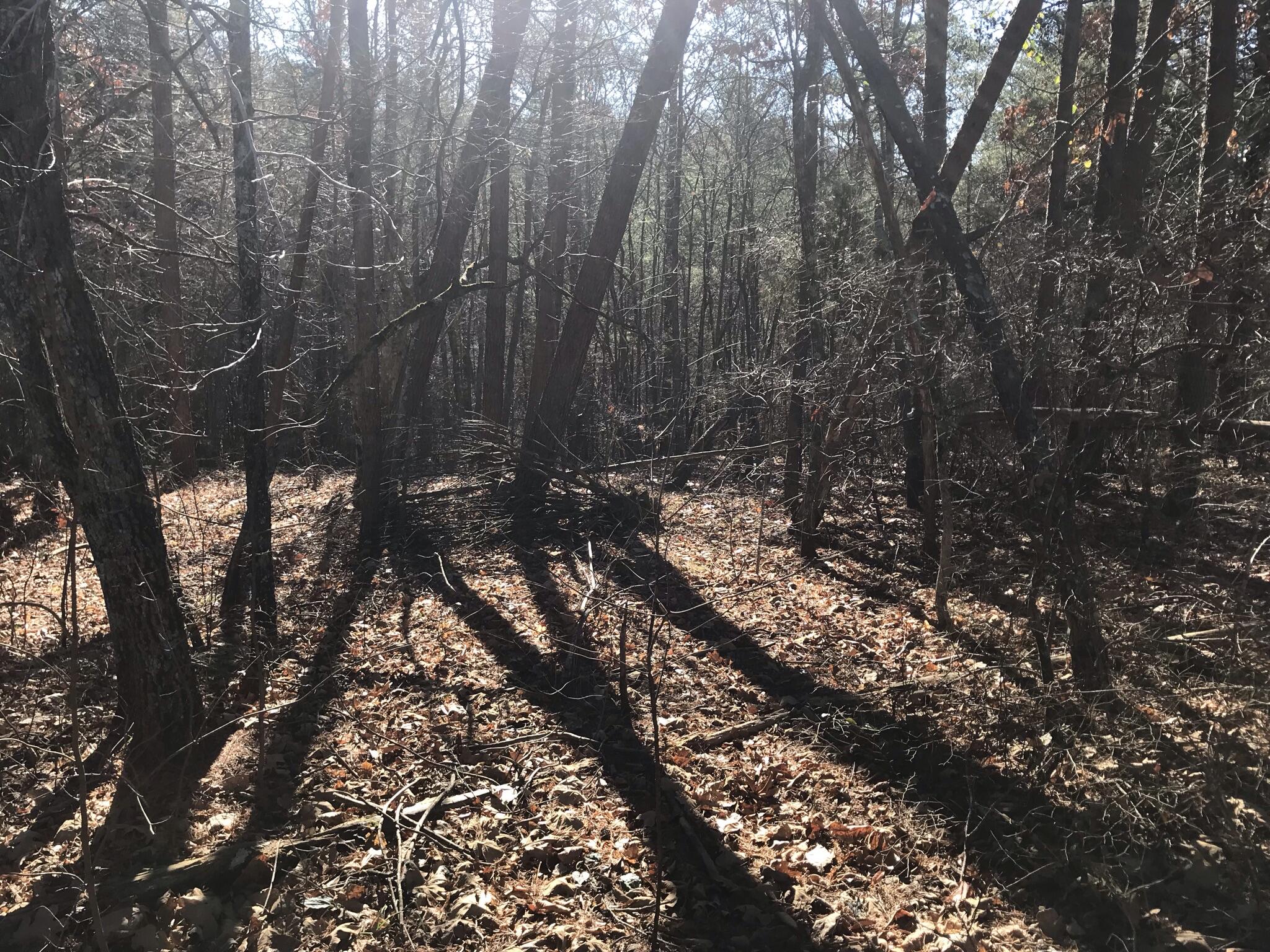 1 John Henry Lewis Road, Unit 1 Dunlap, TN 37327 - Photo 8 of 15 2BE7A9FA-8628-4D71-ABD3-88BFF8F8E5DC
