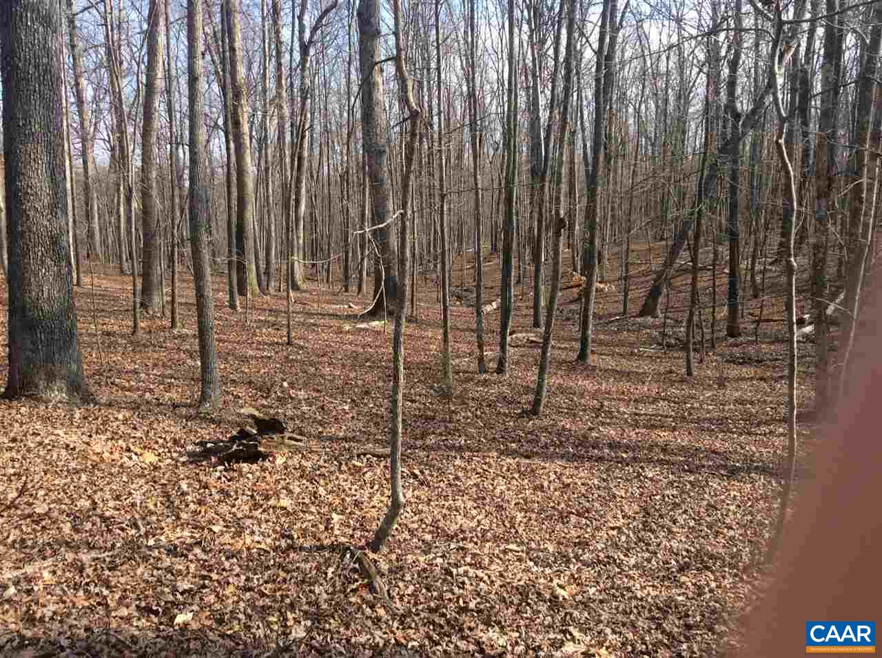 1 Deep Creek Road Palmyra, VA 22963 - Photo 3 of 3