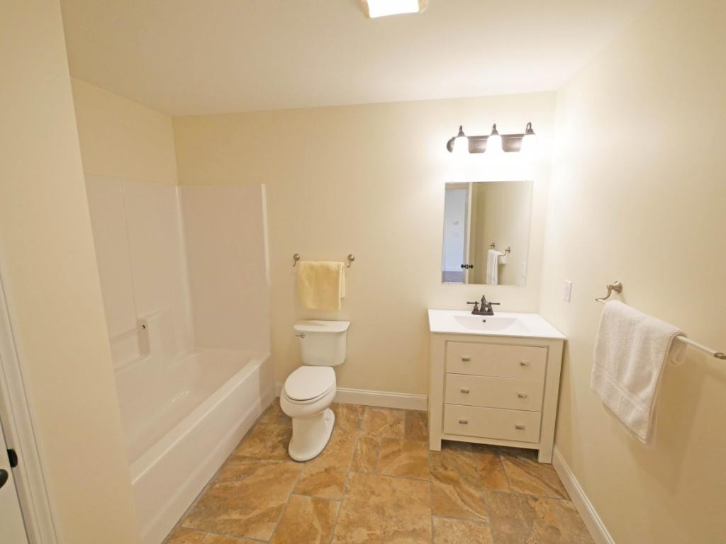 161 Quail Ridge Way Jonesborough, TN 37659 - Photo 33 of 36 Lower level guest bath