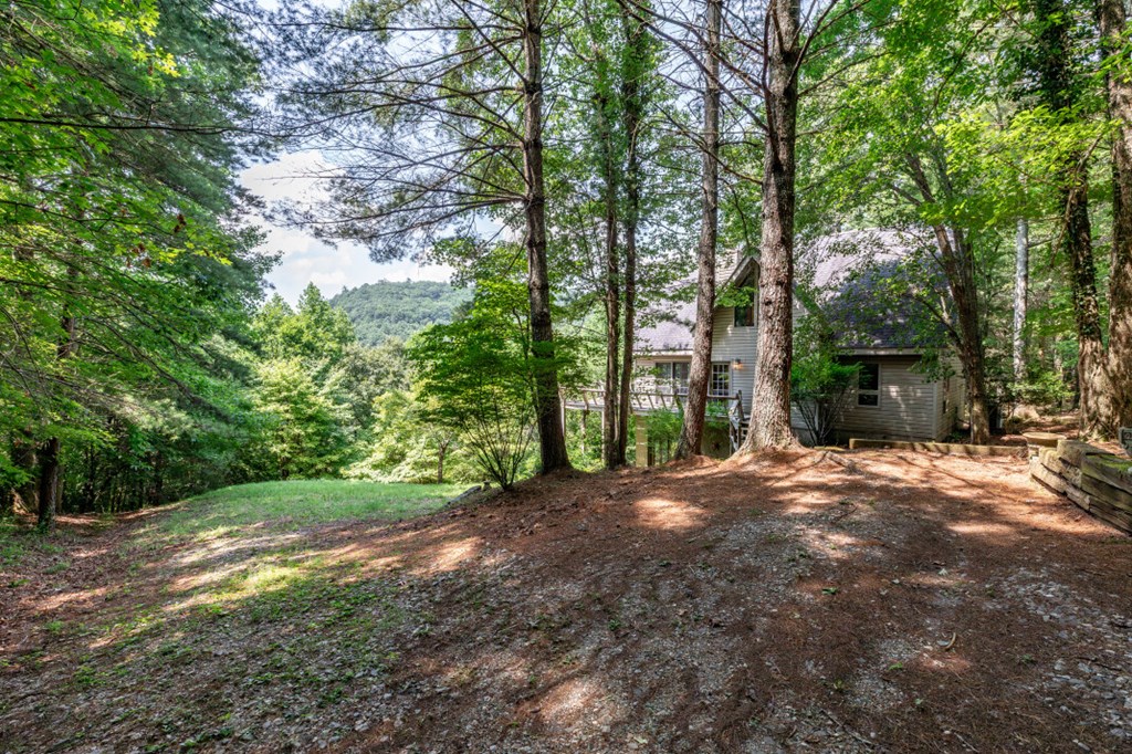 404 Earney Road Blairsville, GA 30512 - Photo 3 of 4 Gallery Image 3