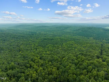 a view of a big yard with plants and large trees