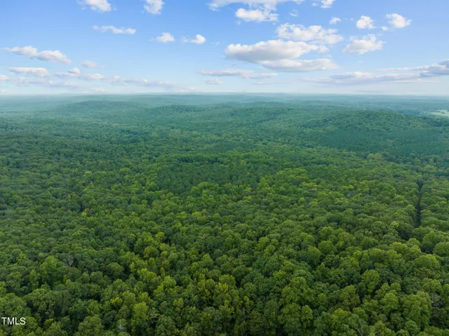 a view of a big yard with plants and large trees