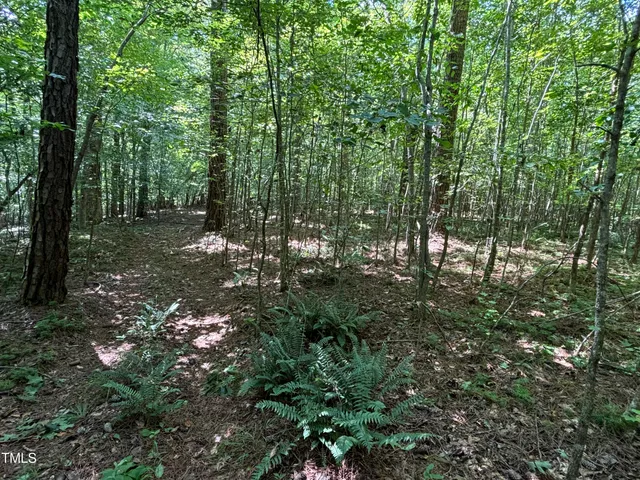 a view of backyard of green space