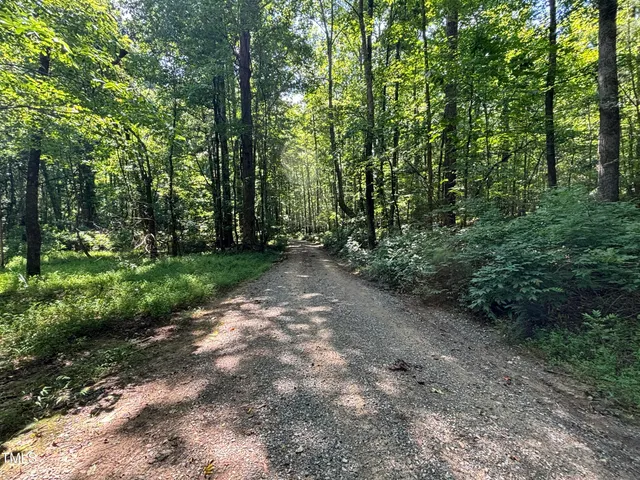 a view of a field with a tree in the background