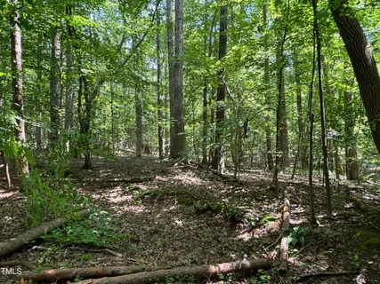 a view of outdoor space with lots of trees