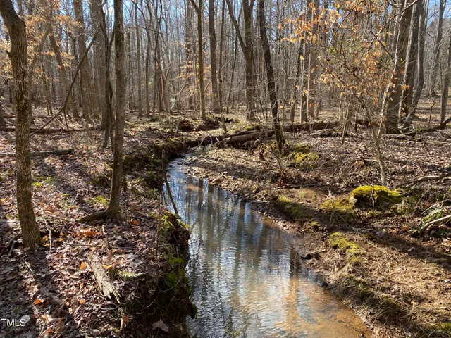 a view of a backyard with trees
