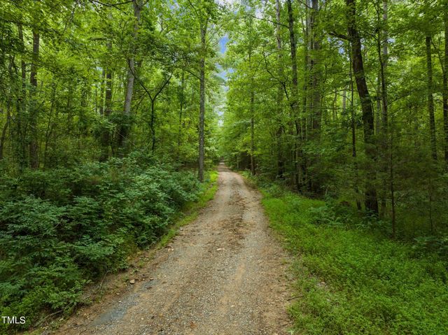 a view of a pathway both side of yard