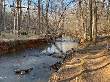 a view of a backyard with large trees