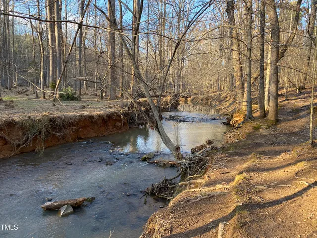a view of a backyard with large trees