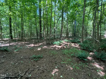 a view of outdoor space with trees all around