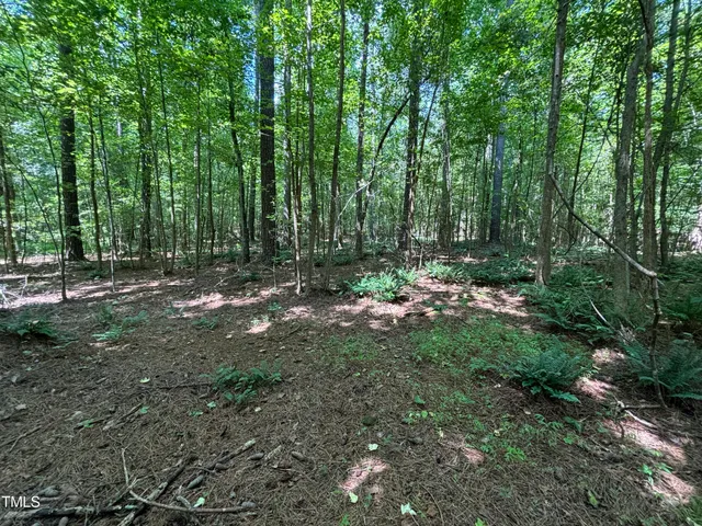 a view of outdoor space with trees all around