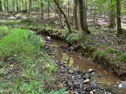 a view of a big yard with lots of green space and trampoline