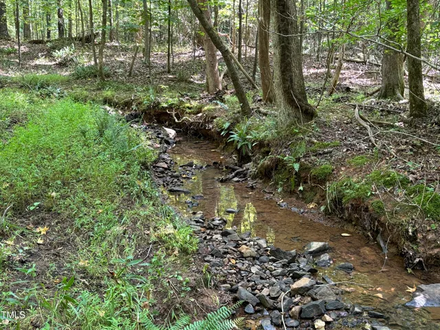 a view of a big yard with lots of green space and trampoline
