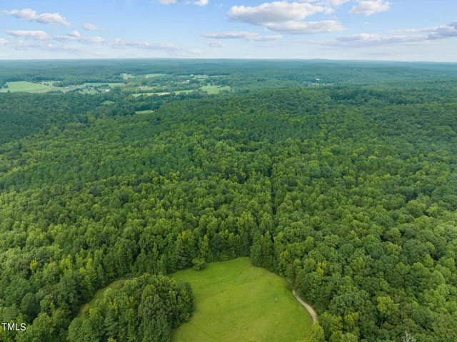 a view of a green field with lots of bushes