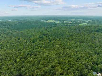a view of a field of grass and trees