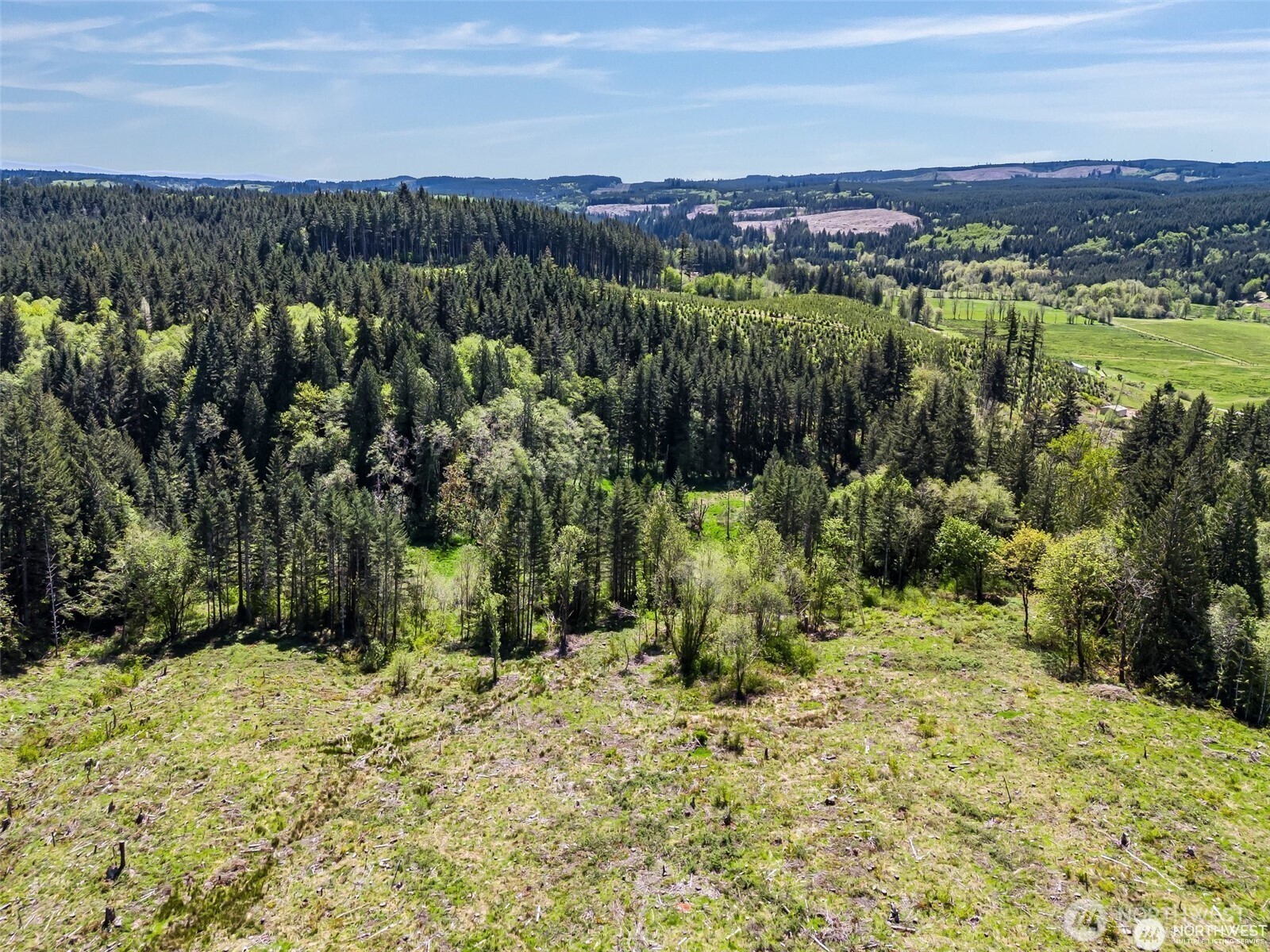 597 Brown Road East Chehalis, WA 98532 - Photo 13 of 17 a view of lake with mountain