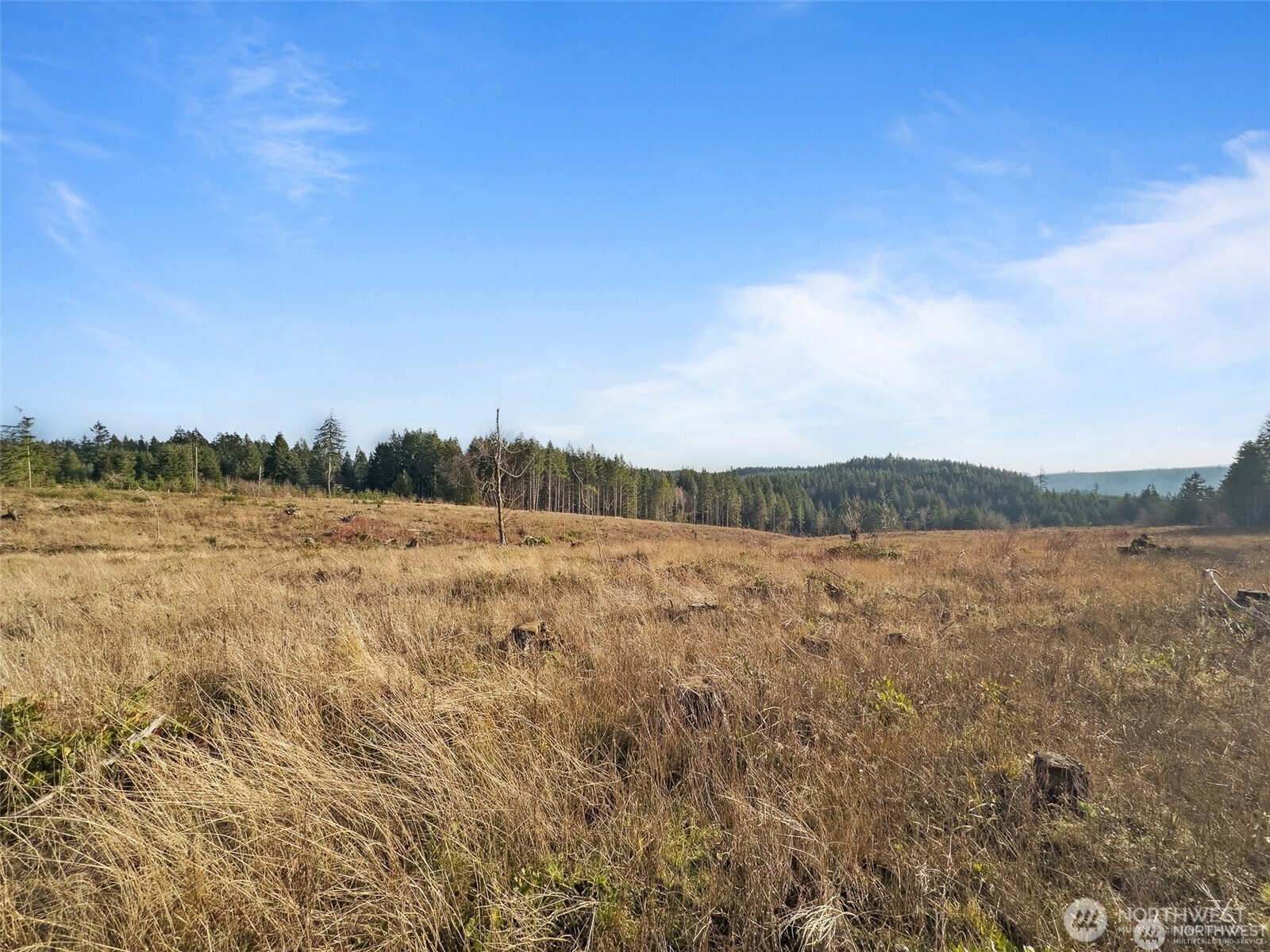 597 Brown Road East Chehalis, WA 98532 - Photo 7 of 17 a view of lake and mountain